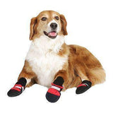 Botas para mascotas: ¡Protege a tu mejor amigo en cualquier época del año!