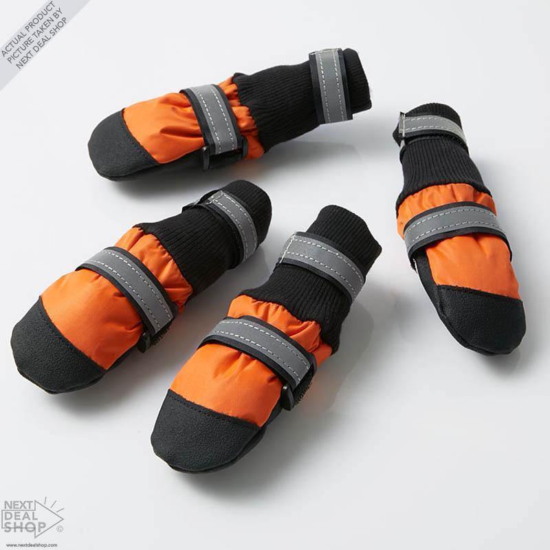 Botas para mascotas: ¡Protege a tu mejor amigo en cualquier época del año!
